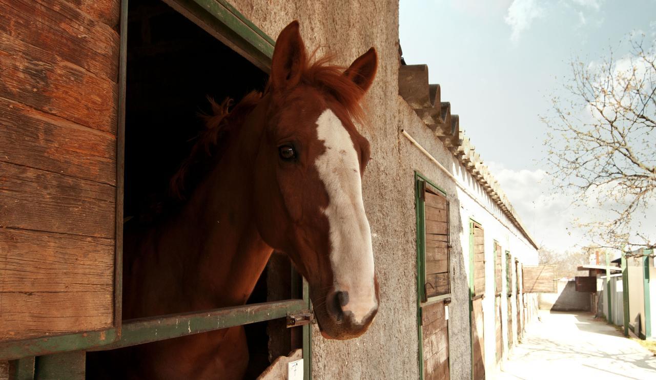 Agriturismo Fasano Cassano delle Murge Kültér fotó