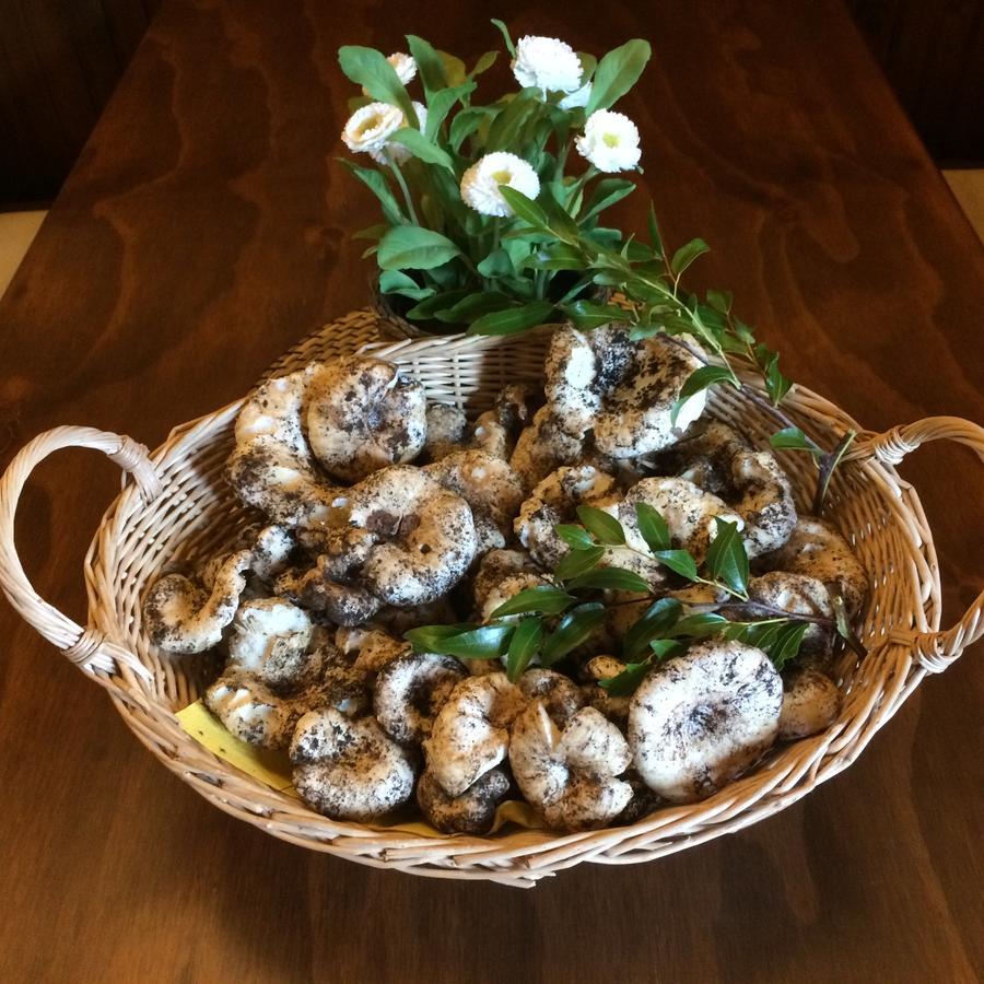 Agriturismo Fasano Cassano delle Murge Kültér fotó
