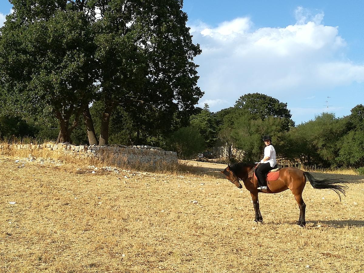 Agriturismo Fasano Cassano delle Murge Kültér fotó